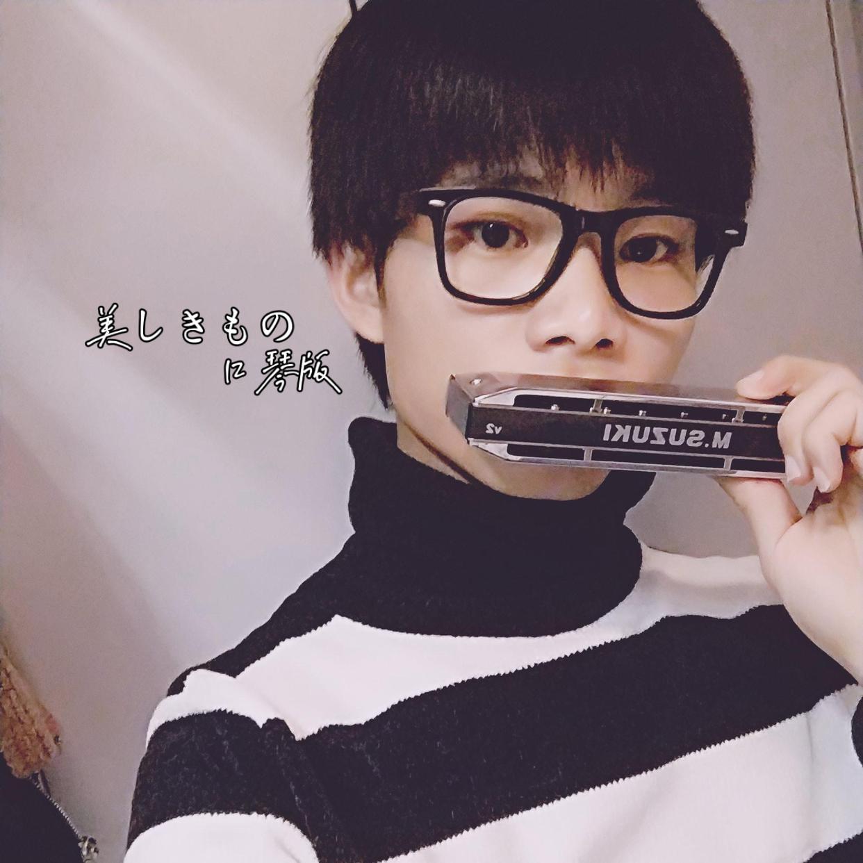 美丽之物 口琴版封面