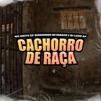 Cachorro de Raça