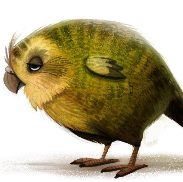 密涅瓦的枭鹦鹉仍未飞起