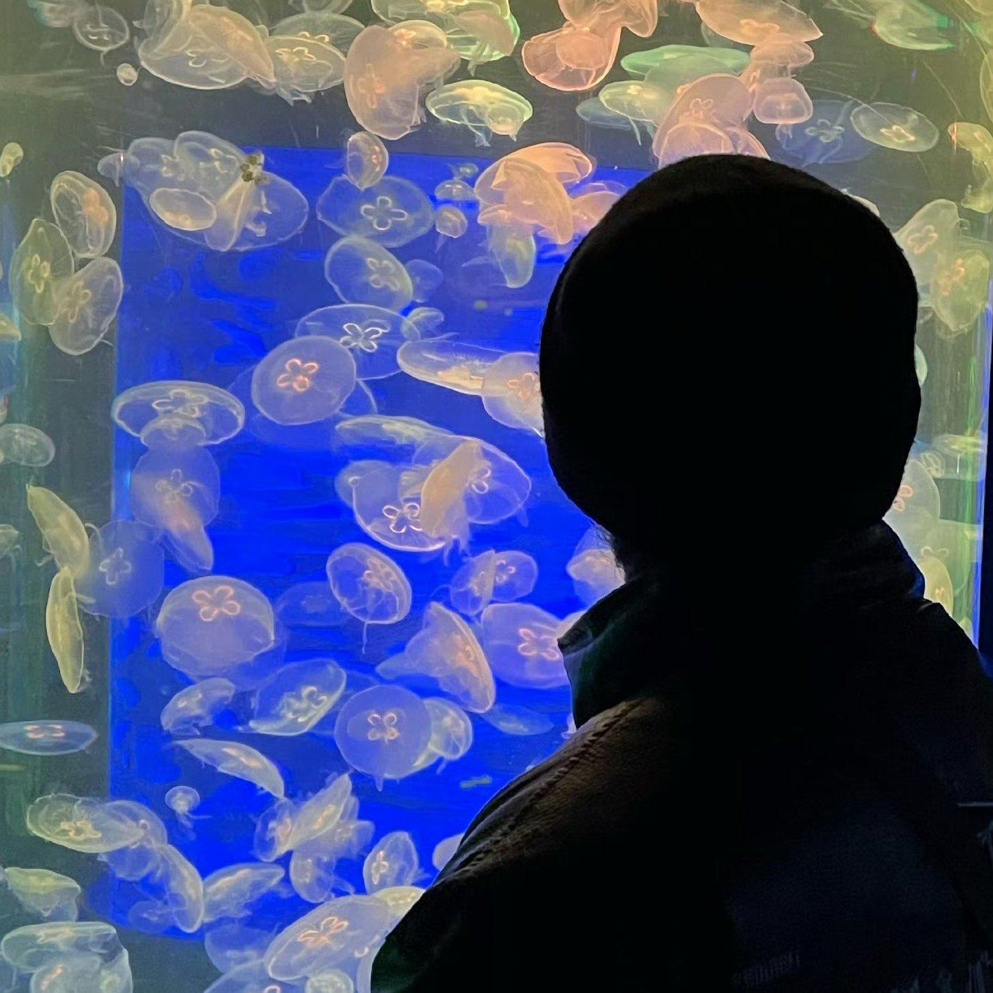 吴子健REmi『心矿 住满了蝴蝶』