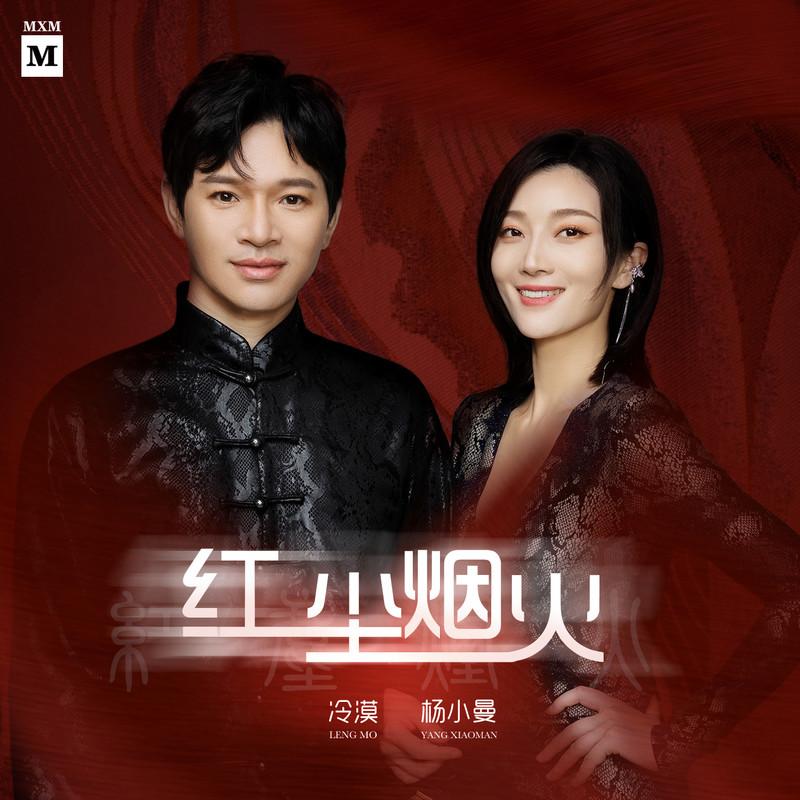 红尘烟火 (DJ沈念版)封面
