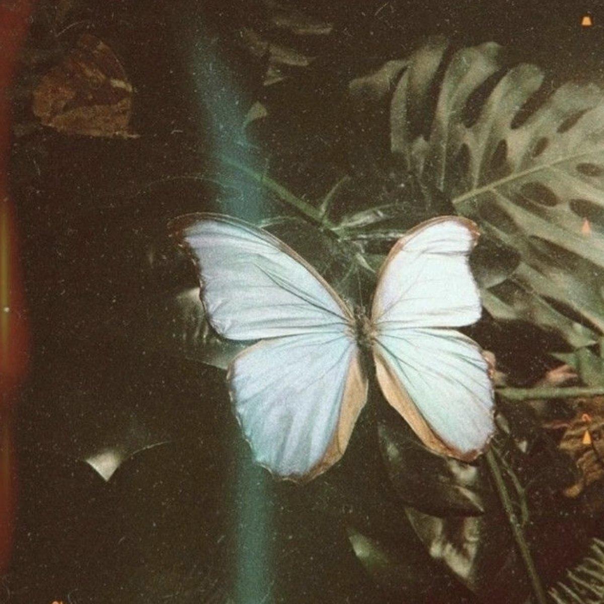 西红柿炒果粒橙