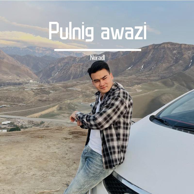 Pulnig awazi - Nuradl封面