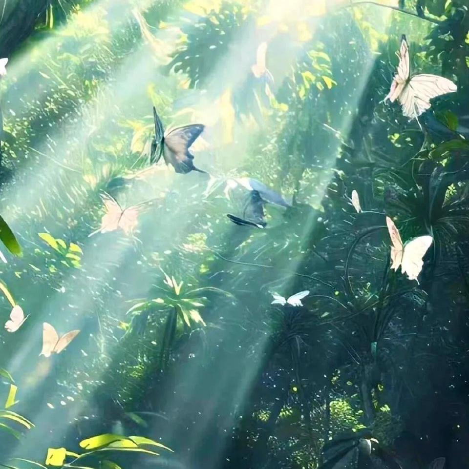 治愈INFJ的英文歌