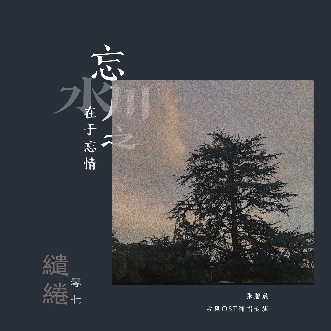 水从天上来封面