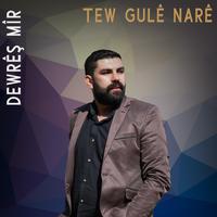 Tew Gulê Narê (feat. Dewrêş Mîr)