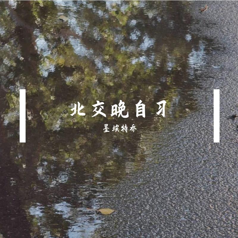 起个名字（不想做毕设）封面