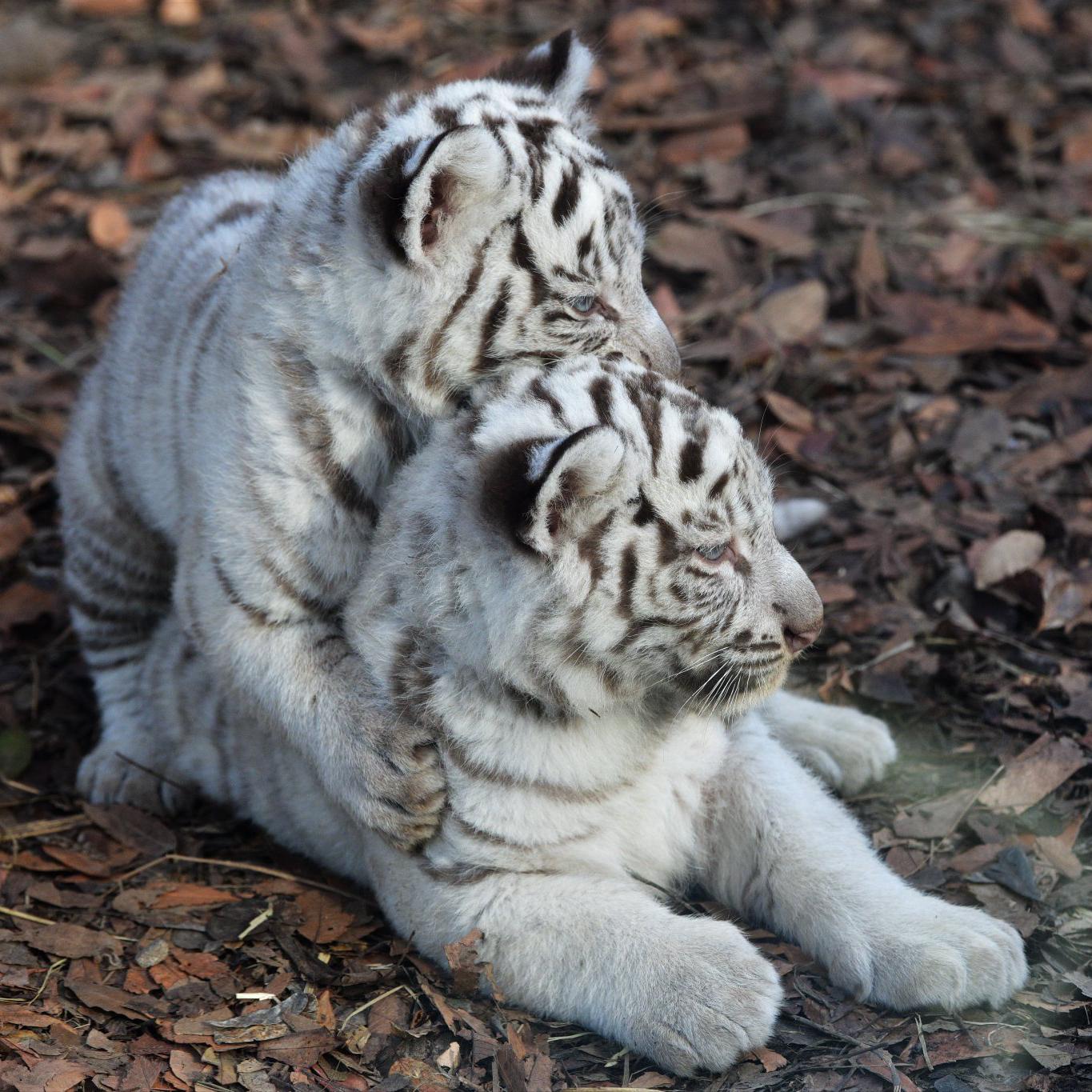 我们两个就是天生一对吧