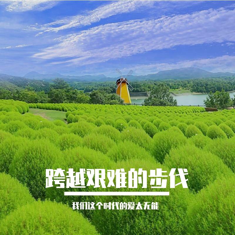 不敢说穿封面