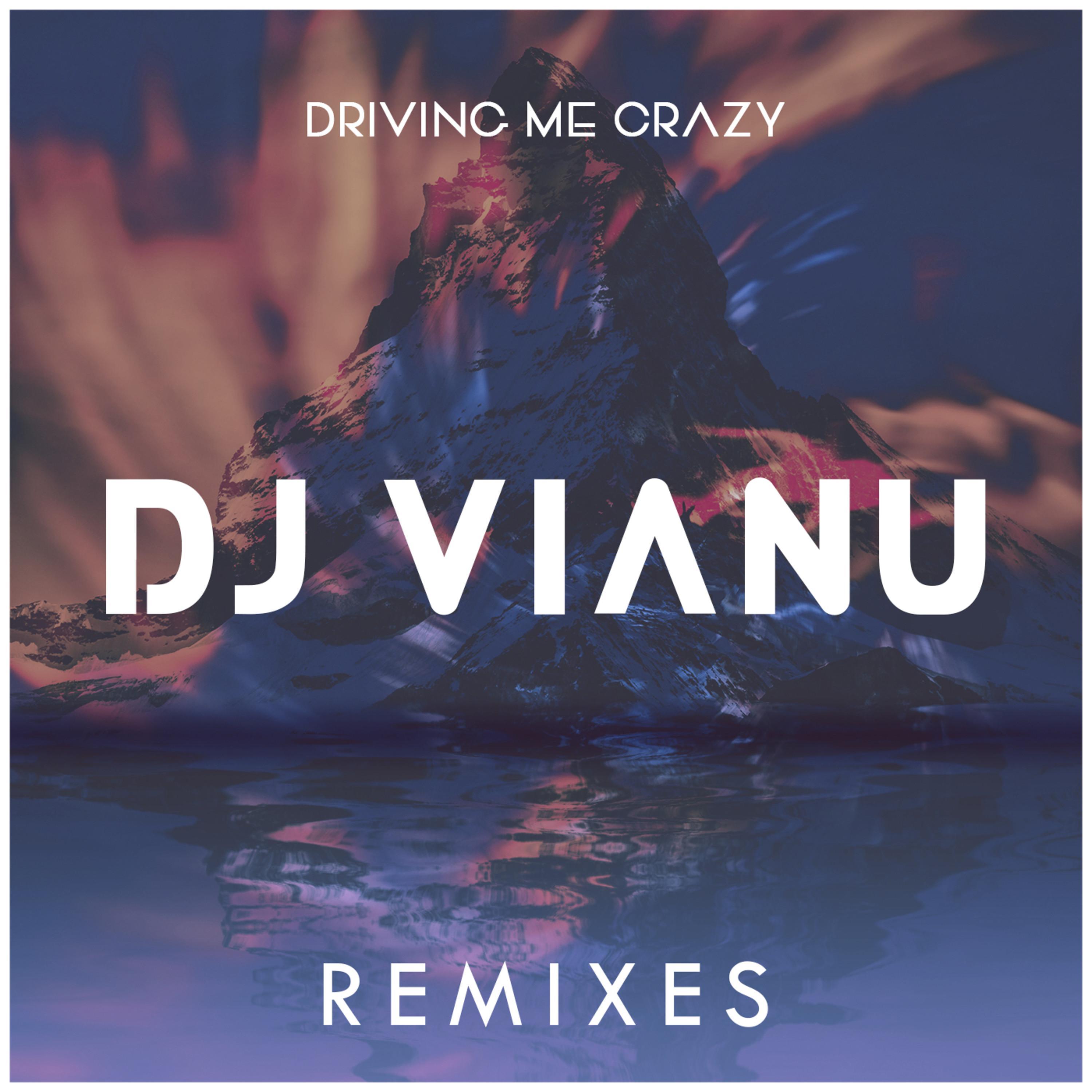 Driving Me Crazy (Vally V. Remix) (Vally V. Remix)