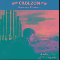 Cabezón: Suavidad y Extrañeza