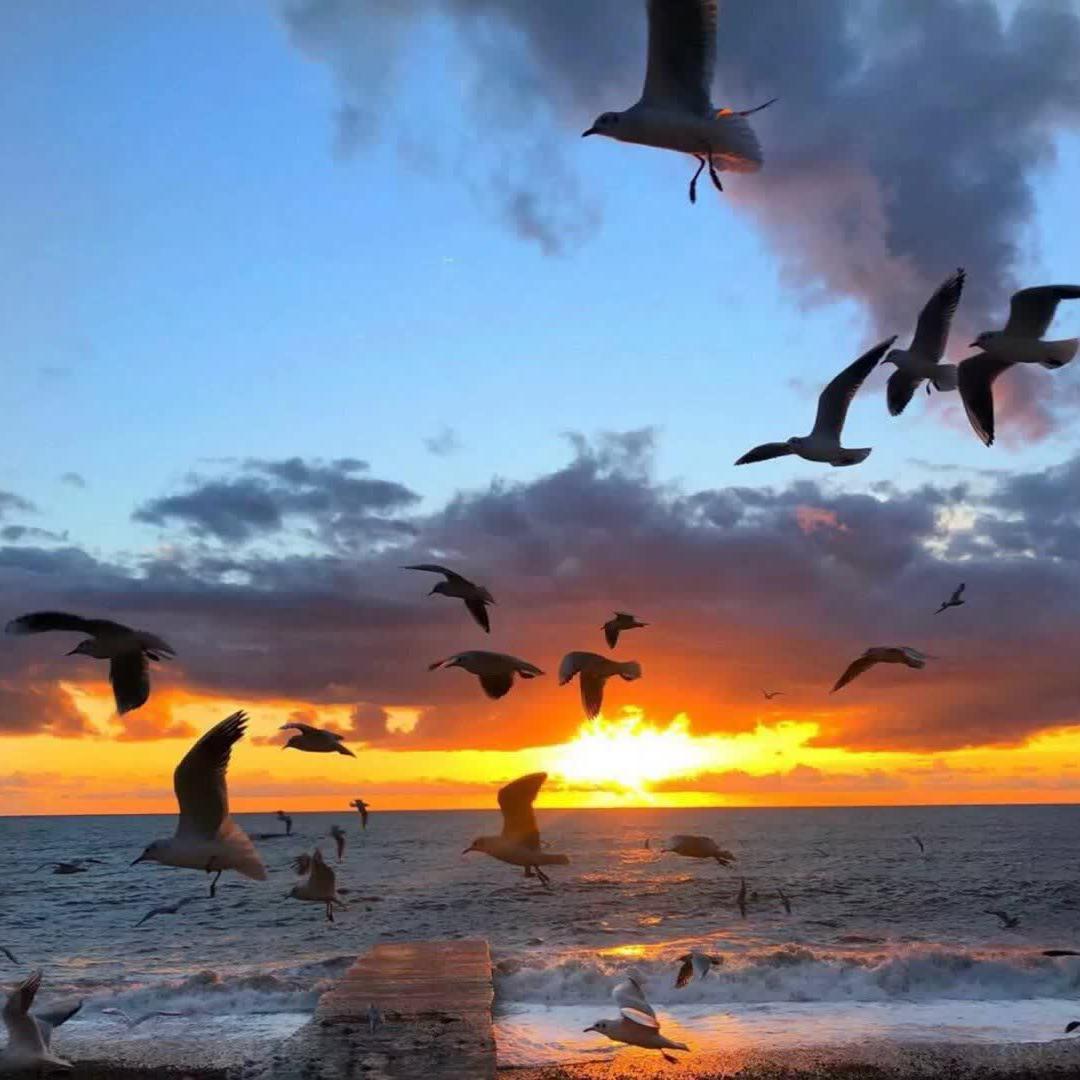 song-img