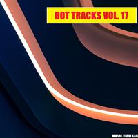 Hot Tracks Vol. 17