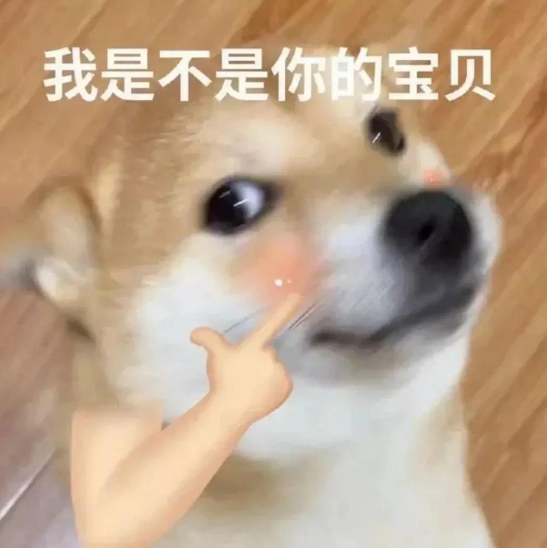 和飞飞的未来几十个夏天