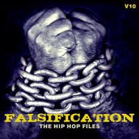 Falsification: The Hip Hop Files, Vol. 10