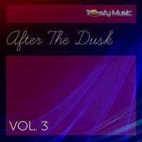 After the Dusk, Vol. 3