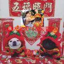 神一样的男人-柏宇