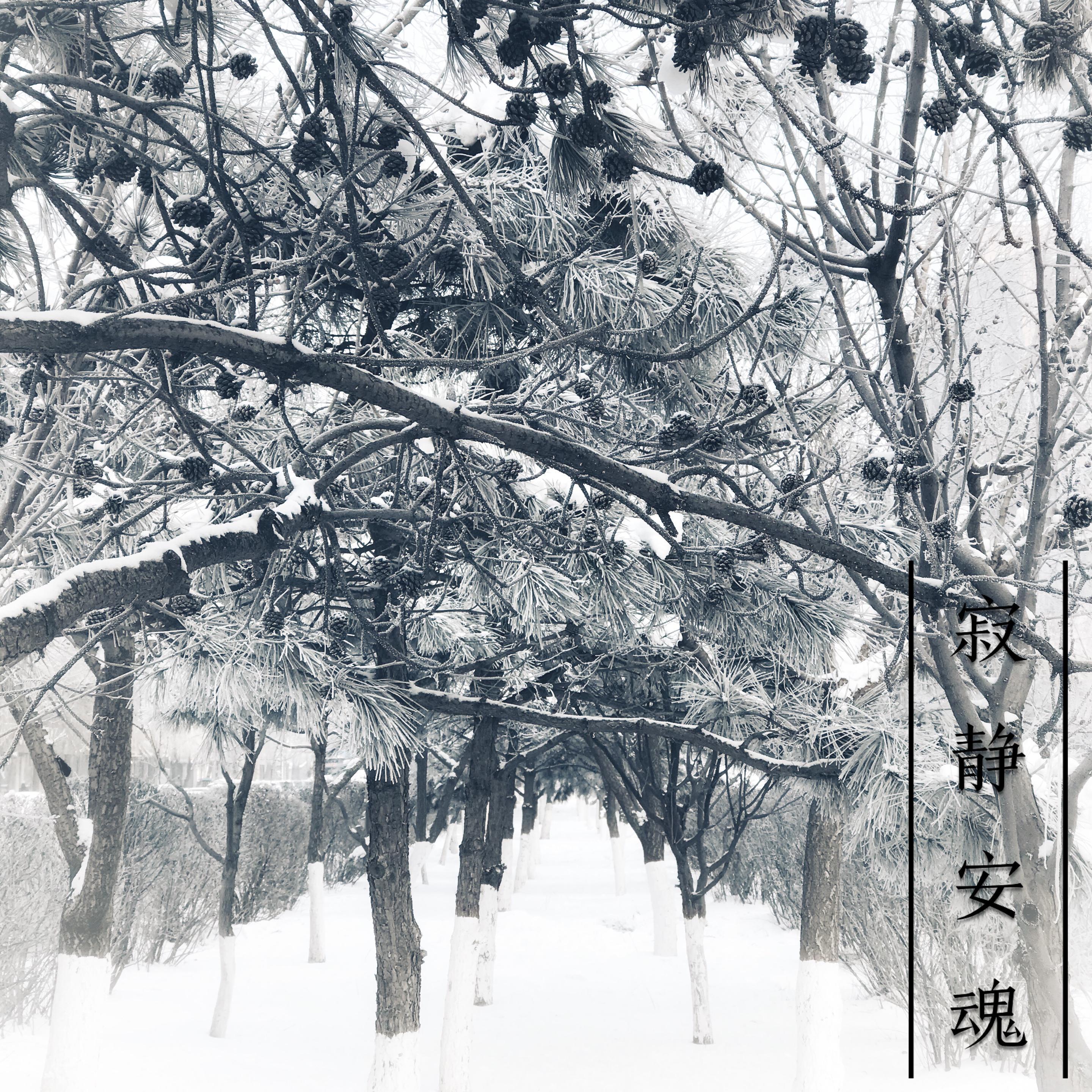 爱情进步的阶梯 - Silent soul(寂静安魂)封面