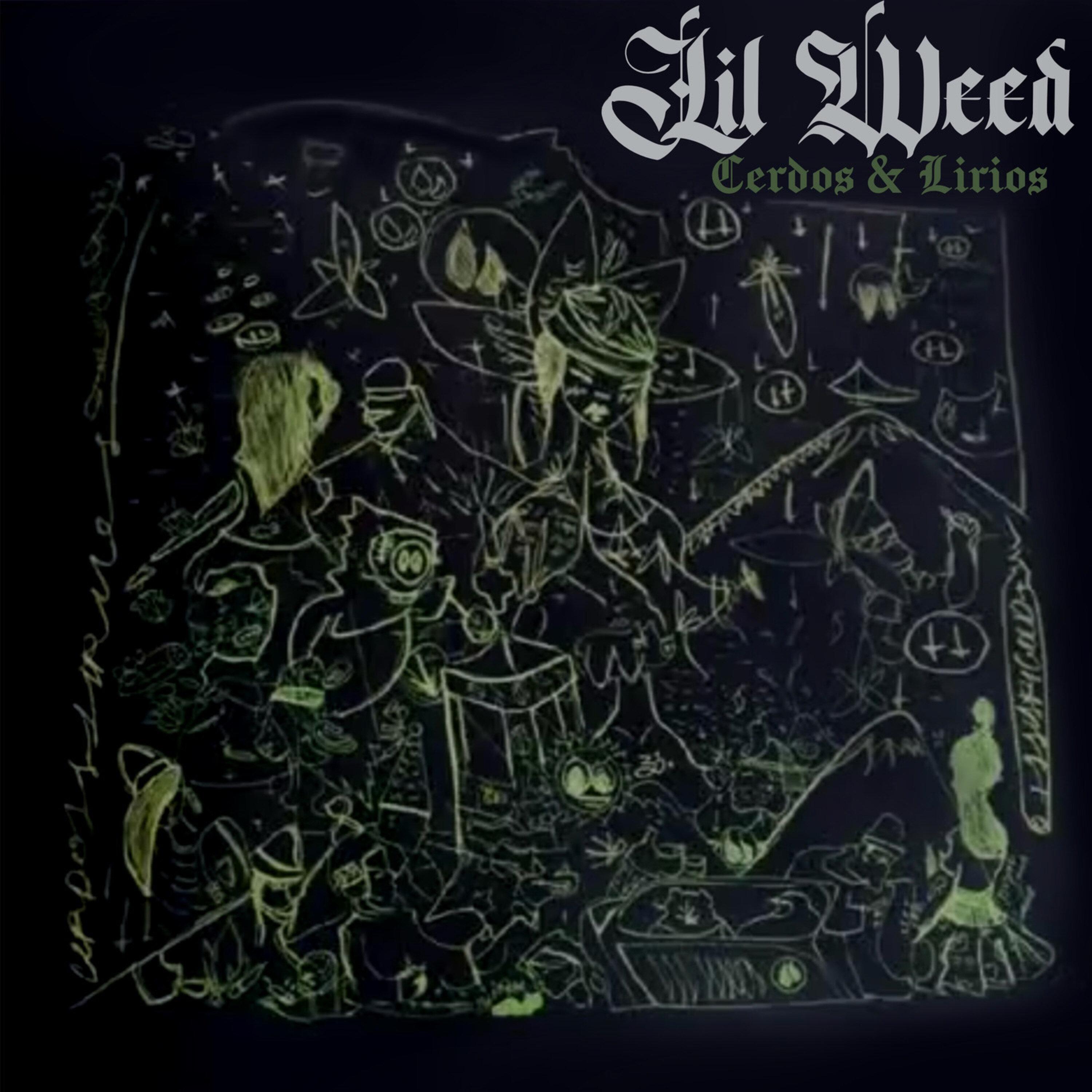 Amor Comprensión Y Ternura