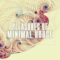 Pleasures of Minimal House