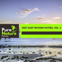 Deep Sleep Infusing Nature, Vol. 4