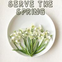 Serve the Spring