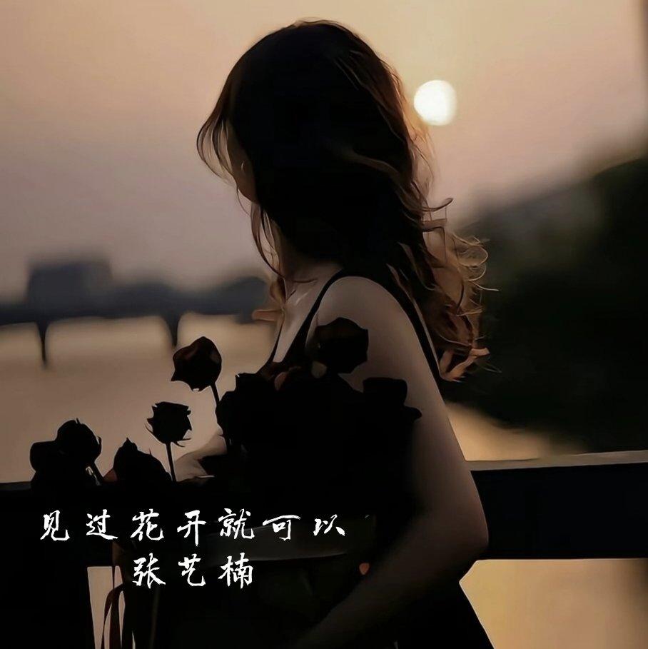 见过花开就可以 - 张艺楠封面
