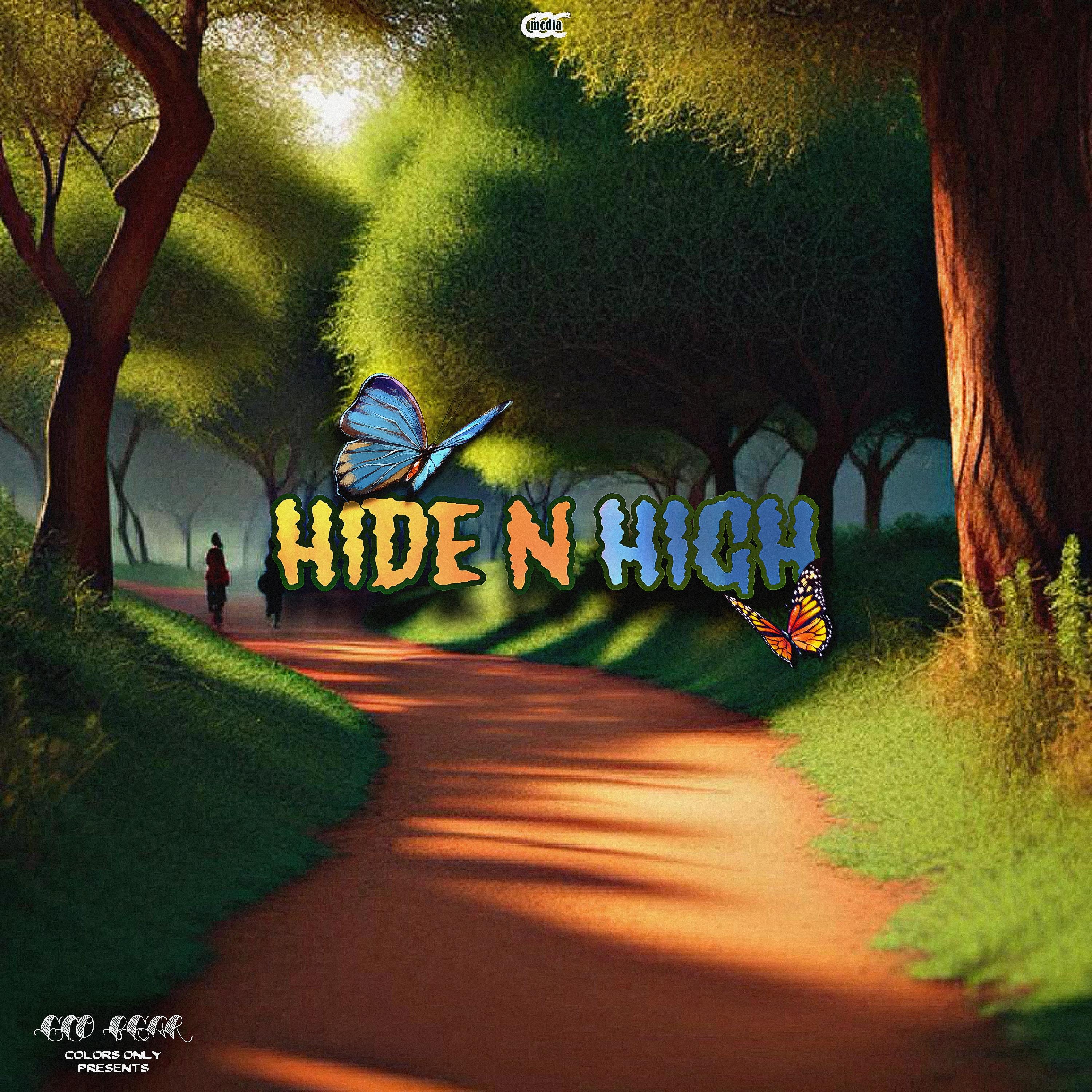 HIDE N HIGH