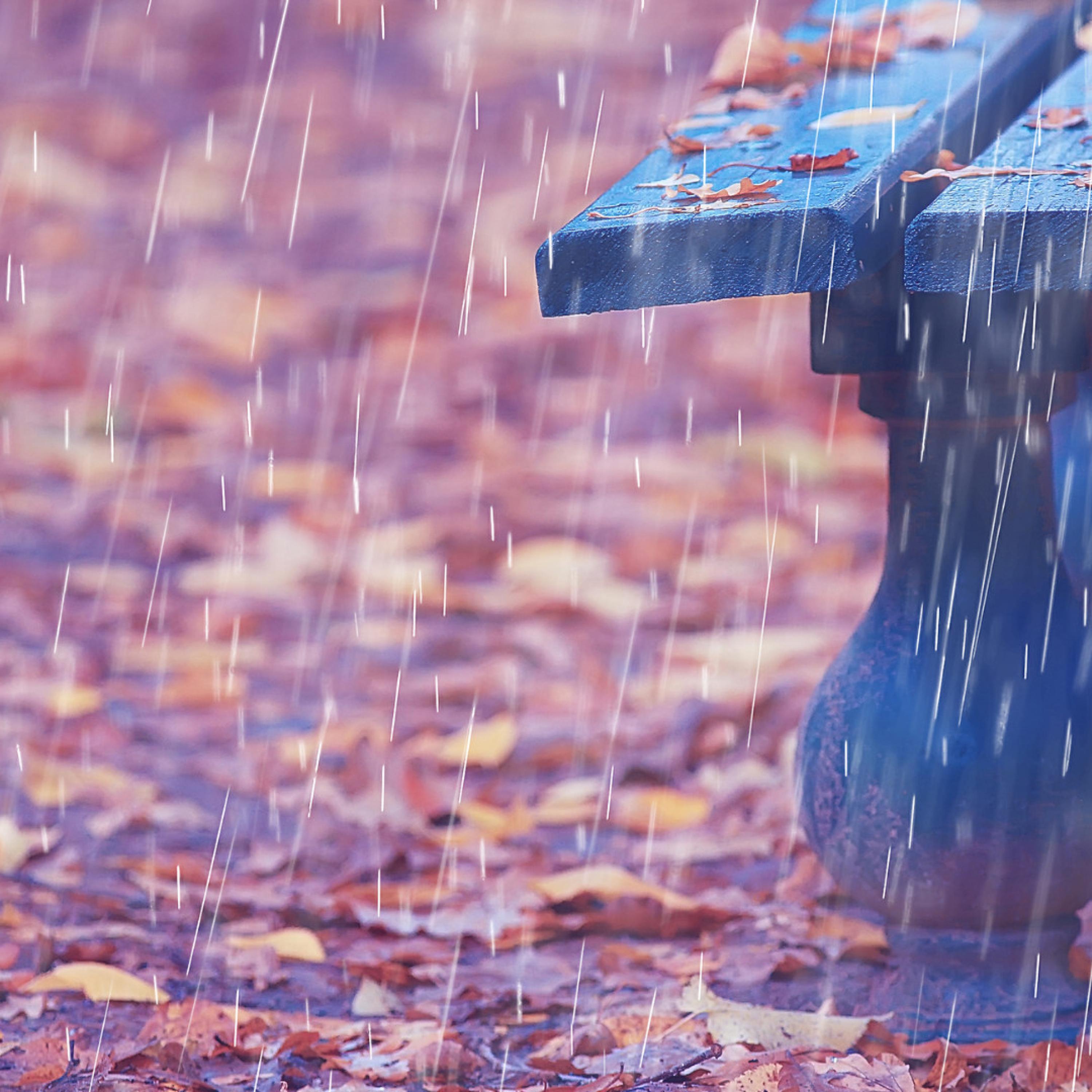 Radiant Inner Rainful Harmony Theta Waves_Thunder Storms & Rain Sounds_Inner Harmony: Theta Waves, Rain Meditations | 在线播放_Radiant Inner Rainful Harmony Theta Waves歌词_Radiant Inner Rainful Harmony Theta Waves下载 | 网易云音乐