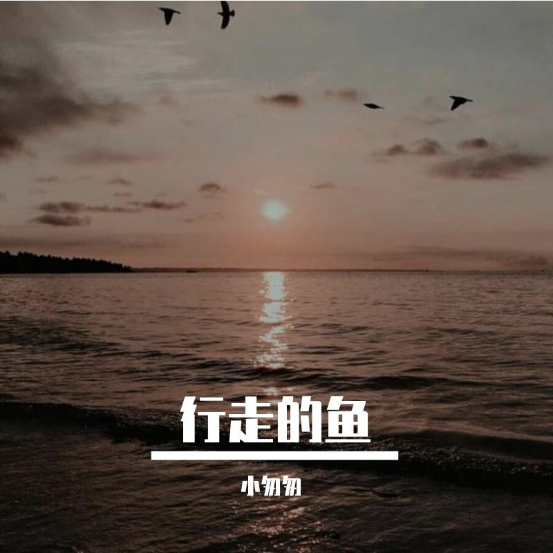 行走的鱼(完整女版)封面