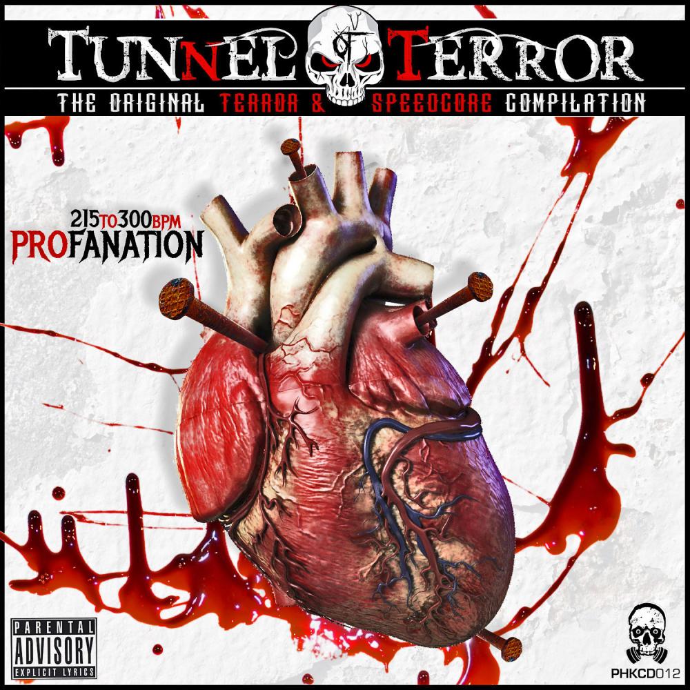 terror: the original terror & speedcore compilation: profanation