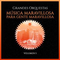 Grandes Orquestas: Música Maravillosa para Gente Maravillosa (Volumen 5)