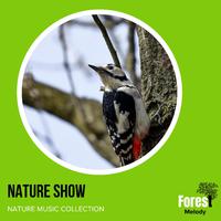 Nature Show - Nature Music Collection