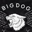 Big Dog