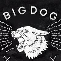 Big Dog