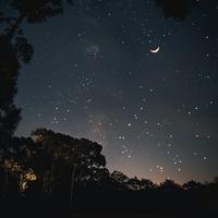 Ensueño Lofi: Sinfonías De Sueño