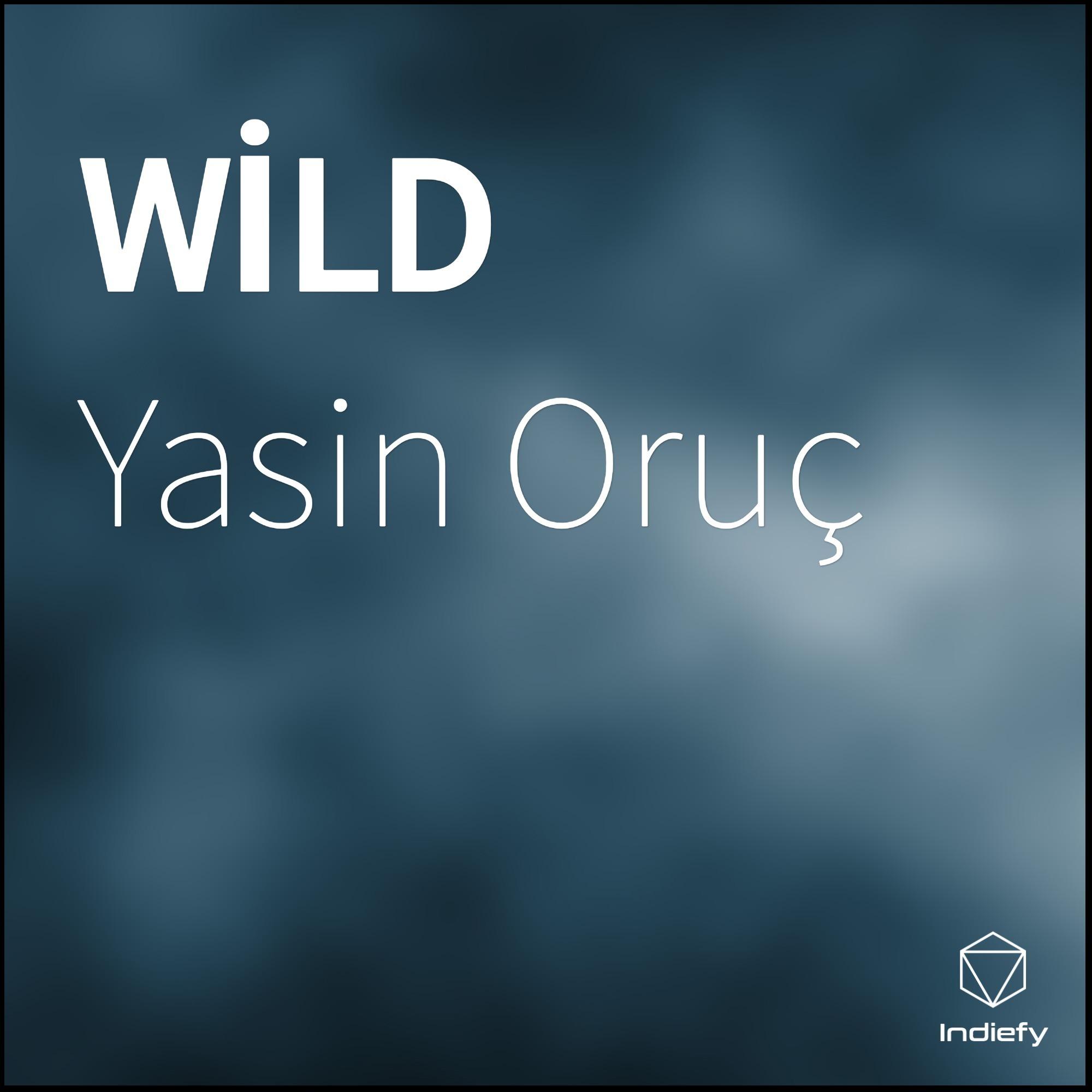 生成外链播放器点击打开客户端wild歌手：yasin oruç所属专辑：wild播放收藏