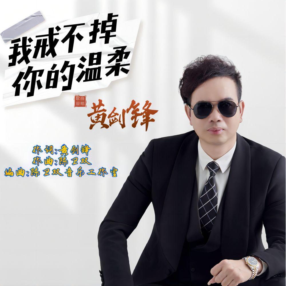 我戒不掉你的温柔（伴奏）封面