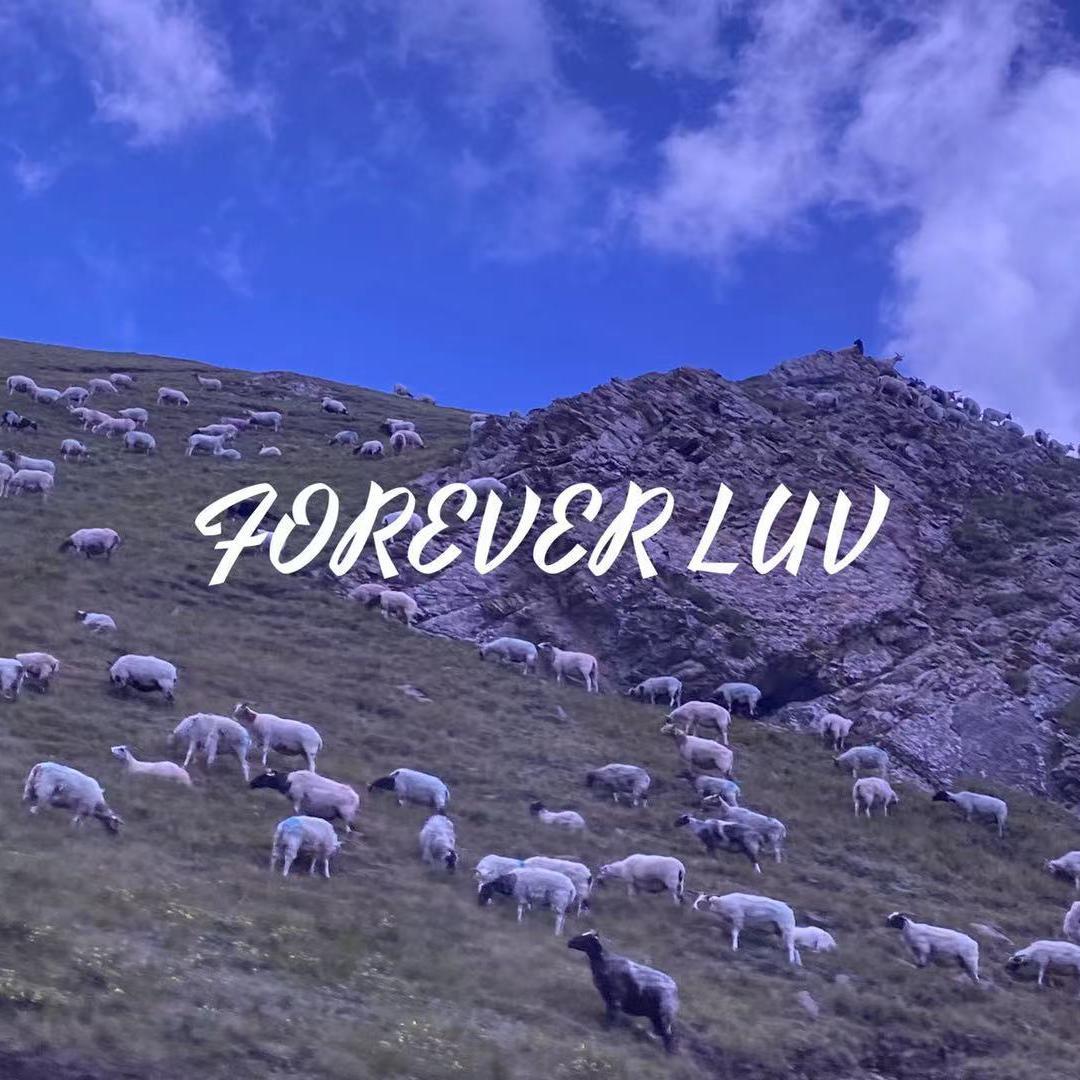 FOREVER LUV封面