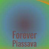 Forever Piassava