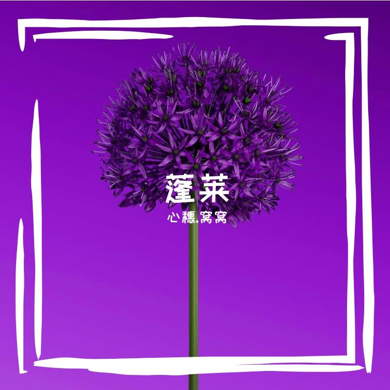 蓬莱封面