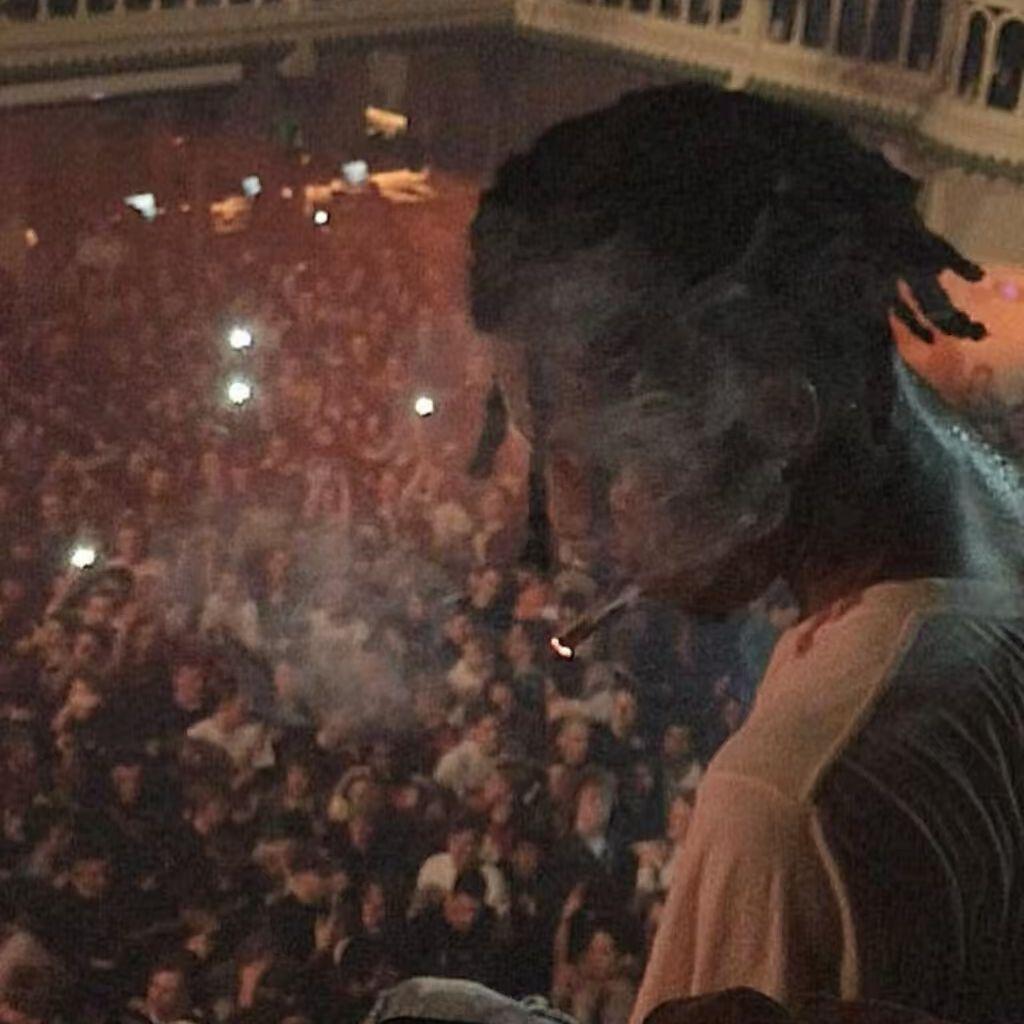 FIELD TRIP INSTRUMENTAL