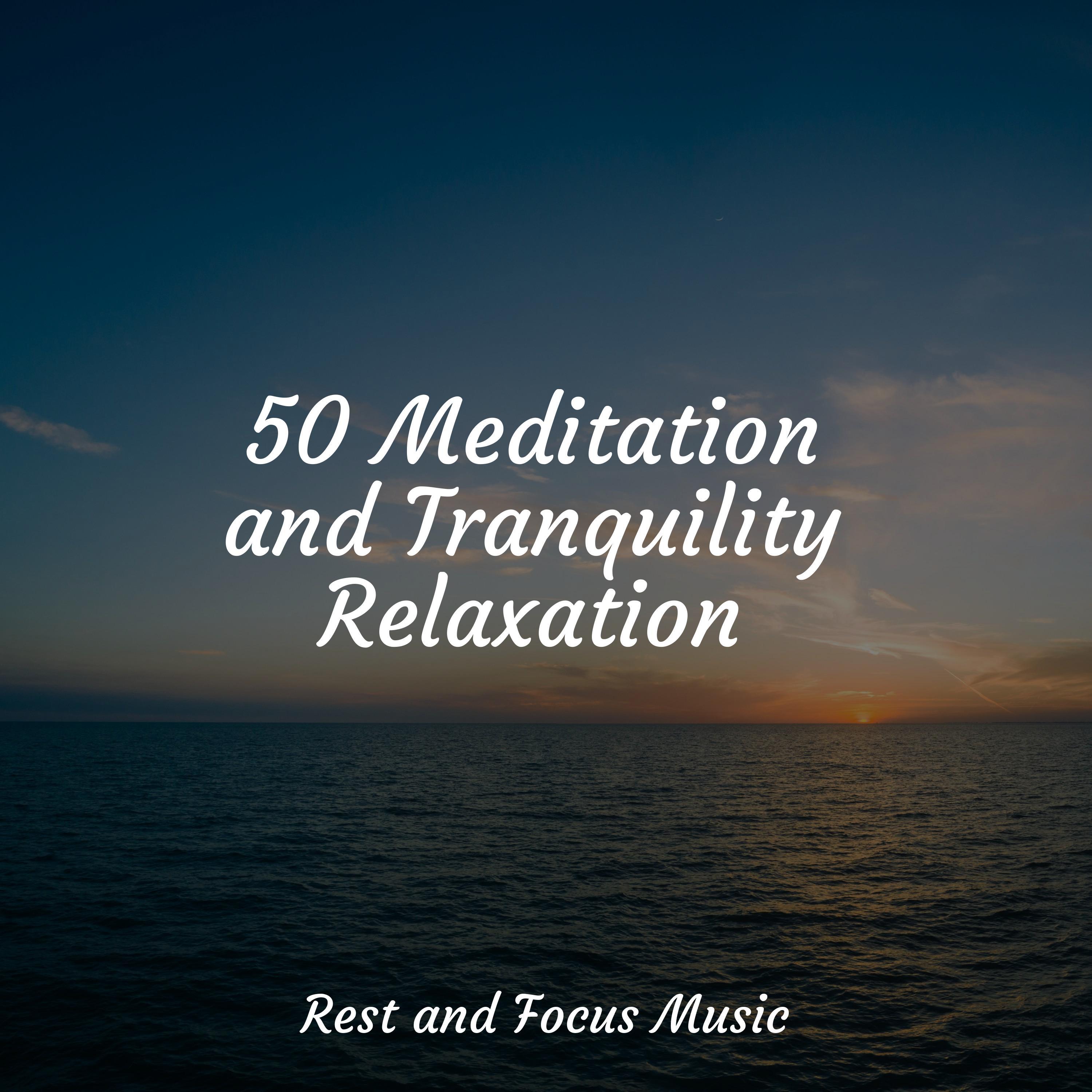 50 Meditation And Tranquility Relaxation - Música Zen Relaxante - 专辑 ...