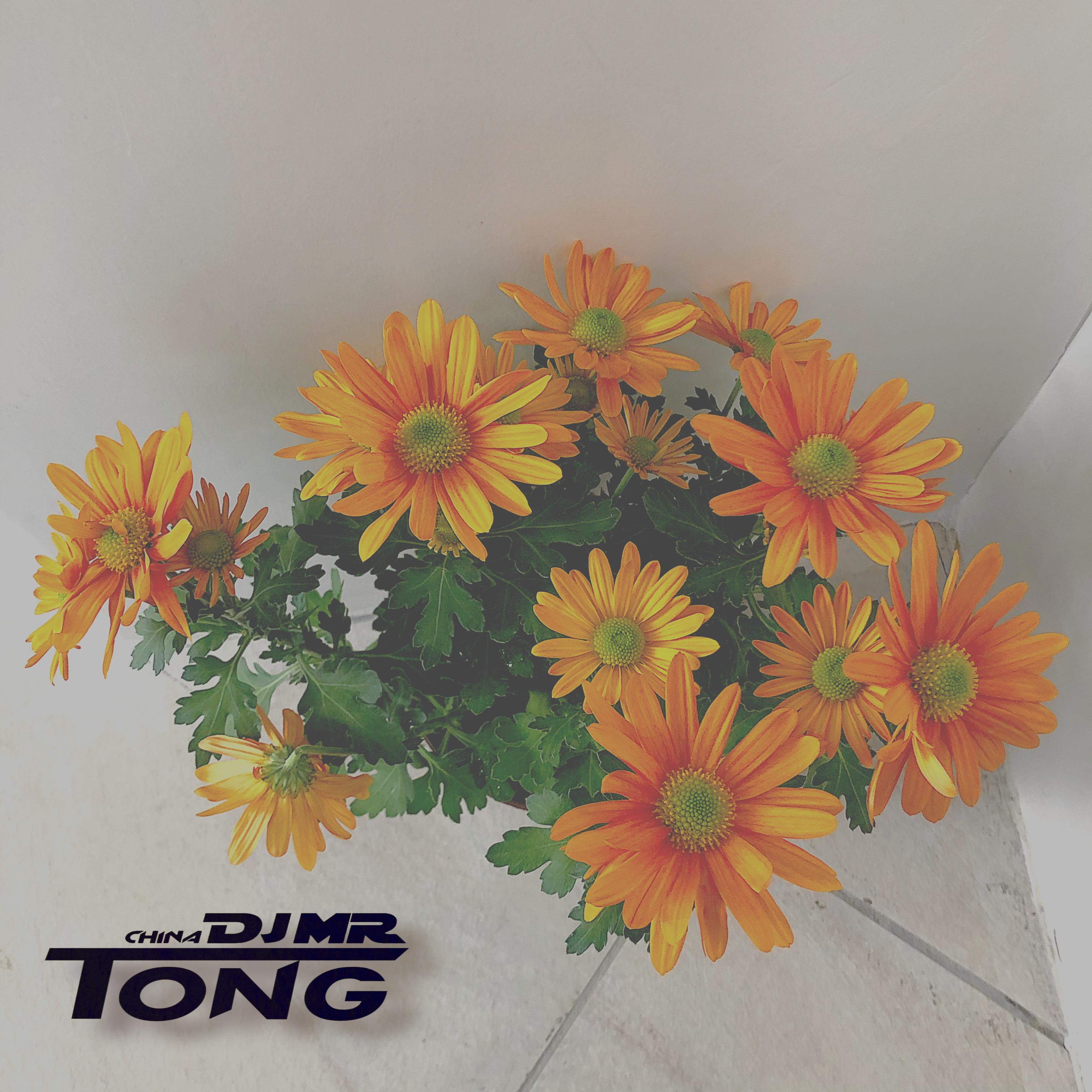 Body Soul -Original Mix-