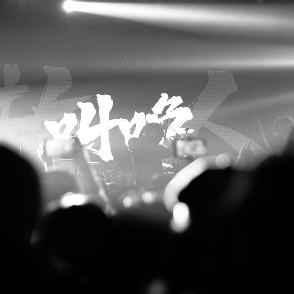 岛屿心情｜刺猬｜海龟先生｜Andmore…