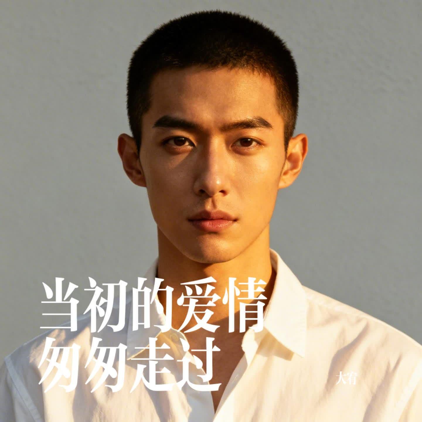 当初的爱情匆匆走过封面