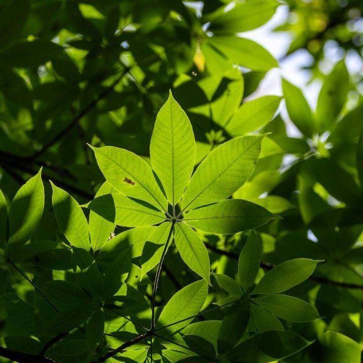 相许-小提琴版_威廉_夏天的风 | 在线播放_相许-小提琴版歌词_相许-小提琴版下载 | 网易云音乐