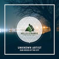 Unknown Artist - Voice 06