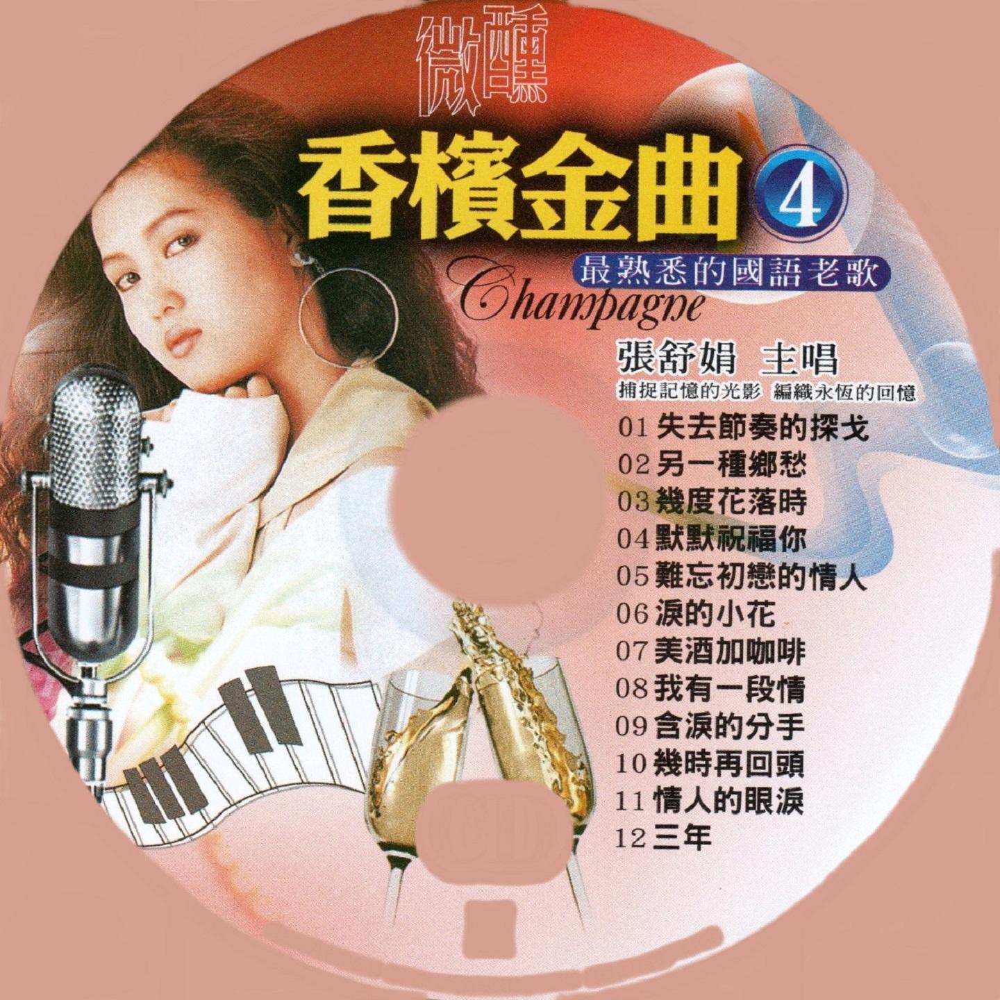 难忘初恋的情人 - 张舒娟封面