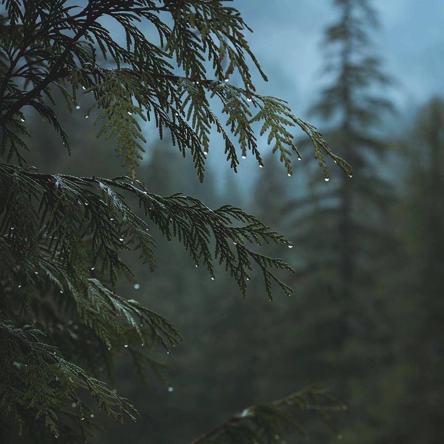 自然纪丨夏季走过山间 · 平静 自愈 净化